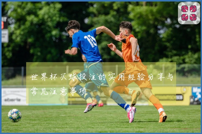 世界杯买球投注的实用经验分享与常见注意事项